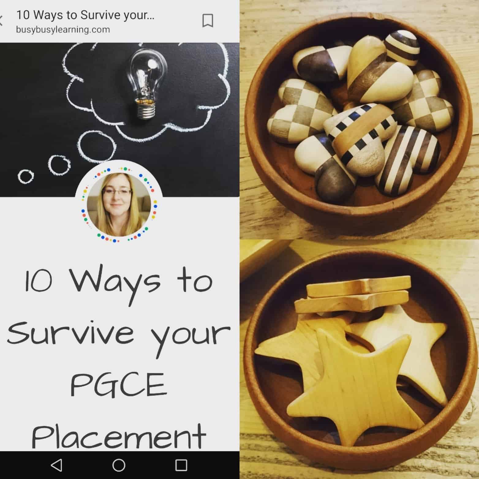 10 Ways to Survive your PGCE Placement Student Teacher
