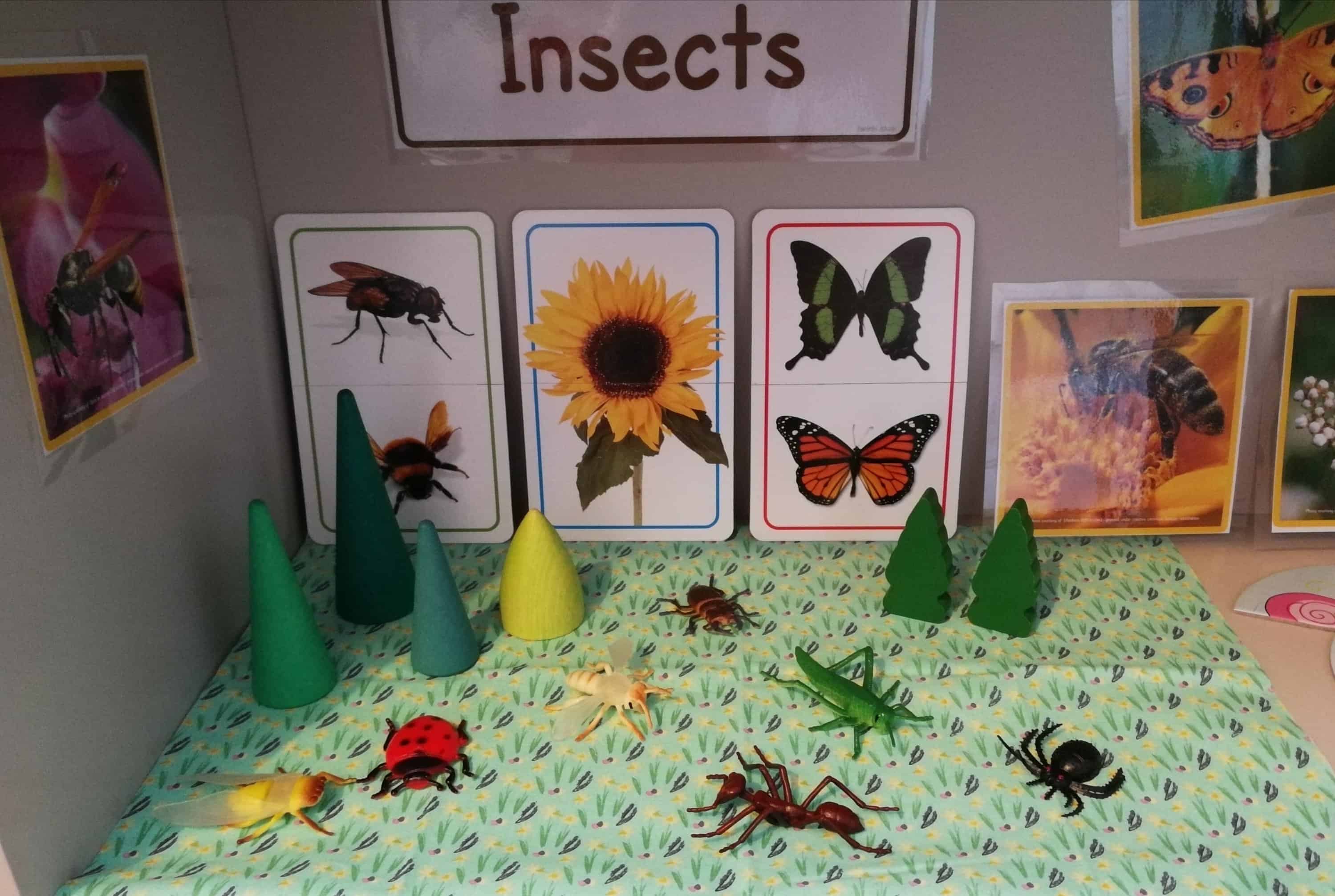 Shelfie - Theme - Minibeasts - Insects - Animals - Caterpillars - Butterflies - Moths - Matching - Communication and Language - Fine Motor Skills - Puzzles - Games - Toddler ideas - Preschooler - Books - Small World - Grimms Toys - Wooden Toys