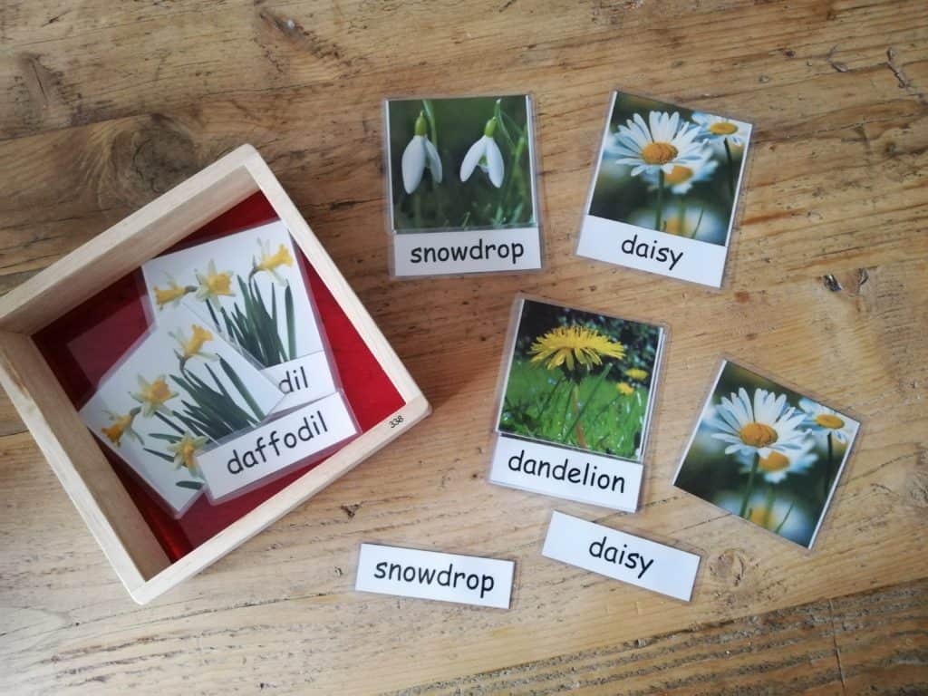 Three Part Montessori Inspired Cards Spring Flowers