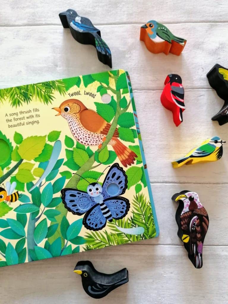 Bird Sounds Usborne Book