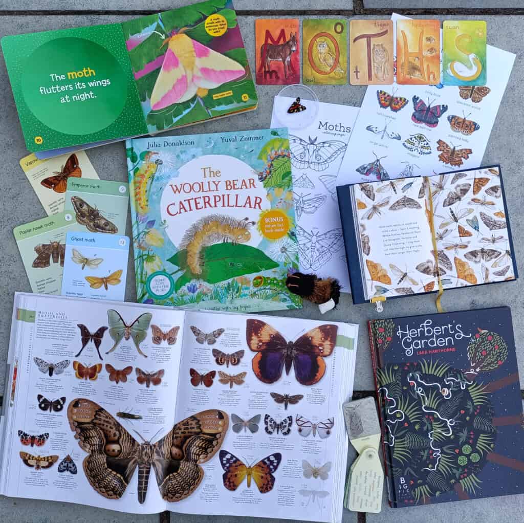 A collection of open and closed books and printables about moths