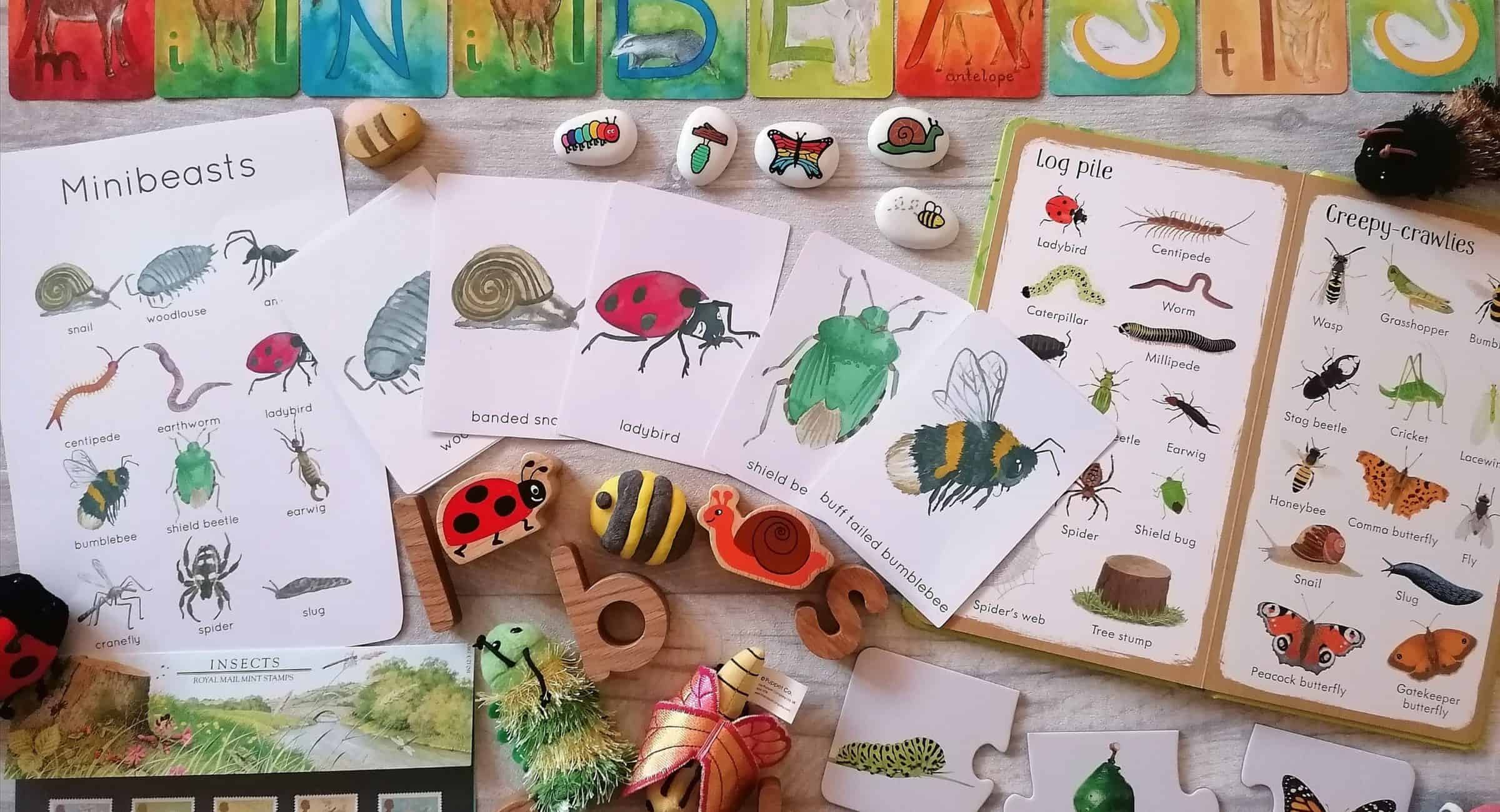 Selection of minibeast resources for nature exploring