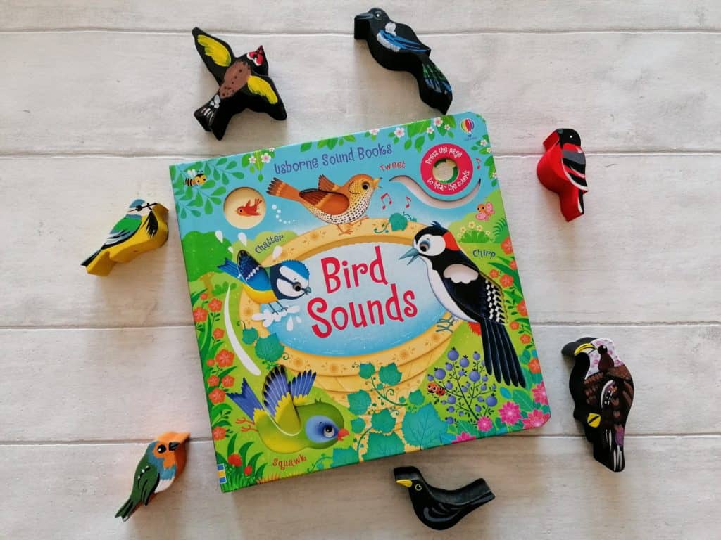 Bird Sounds Usborne Book