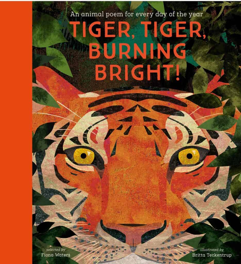 Tiger, Tiger, Burning Bright! poetry book cover