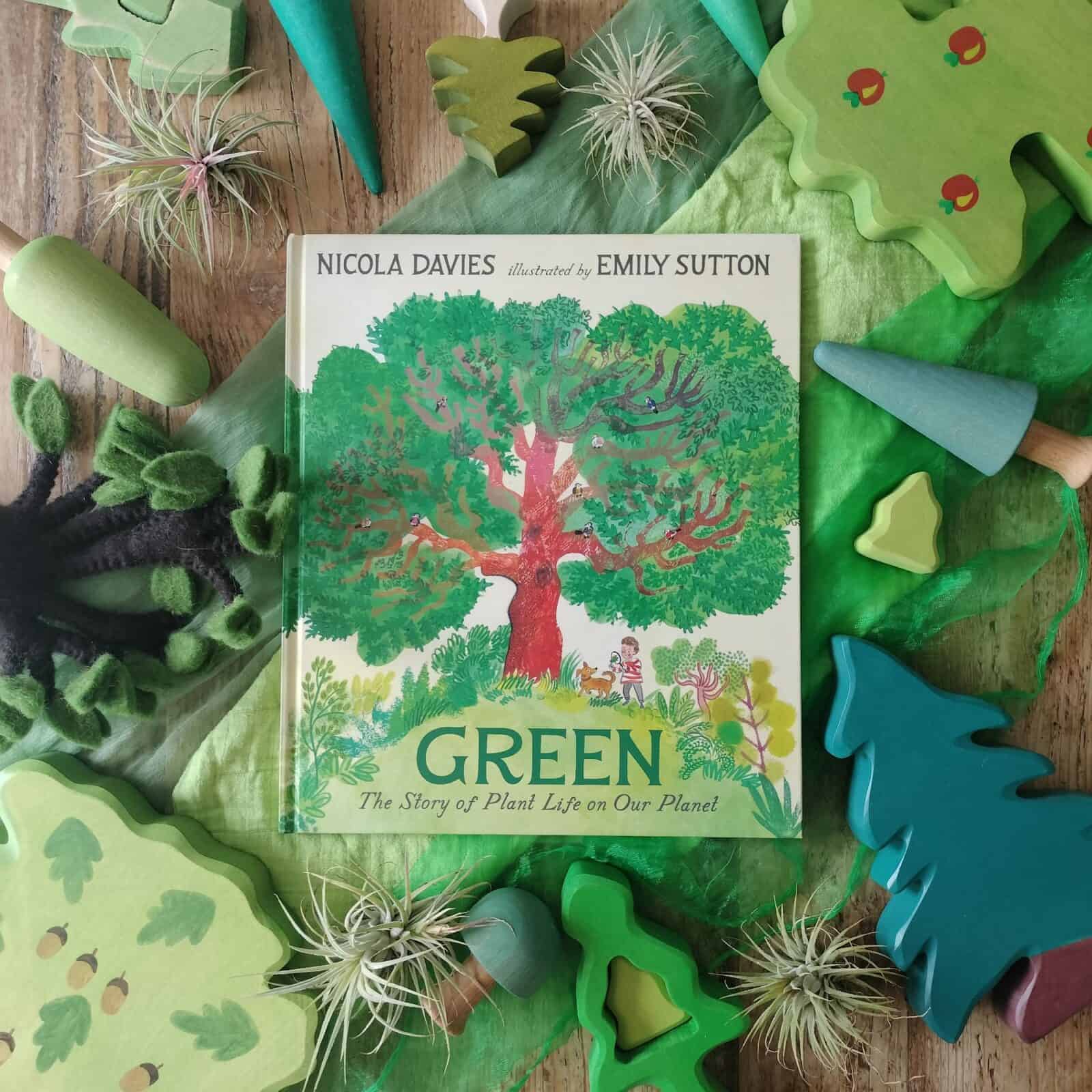 Green: The Story of Plant Life on Our Planet by Nicola Davies and Emily Sutton front cover on a flat lay image with wooden trees and real air plants surrounding the book.