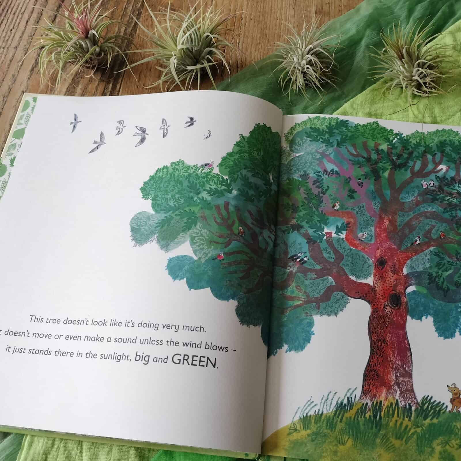 Green: The Story of Plant Life on Our Planet by Nicola Davies and Emily ...