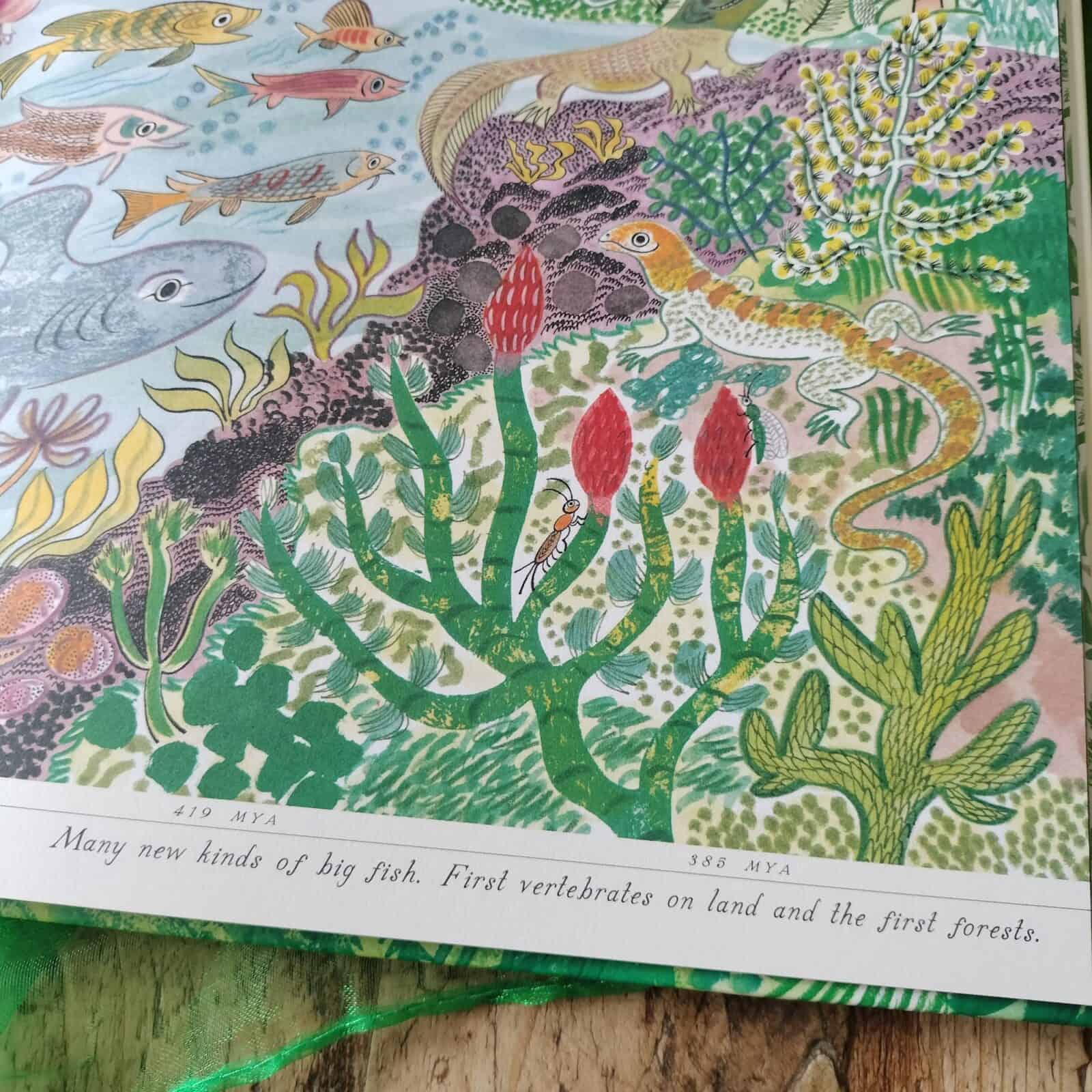 Green: The Story of Plant Life on Our Planet by Nicola Davies and Emily ...